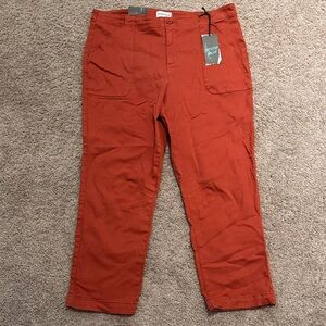 Men's Rust Chinos